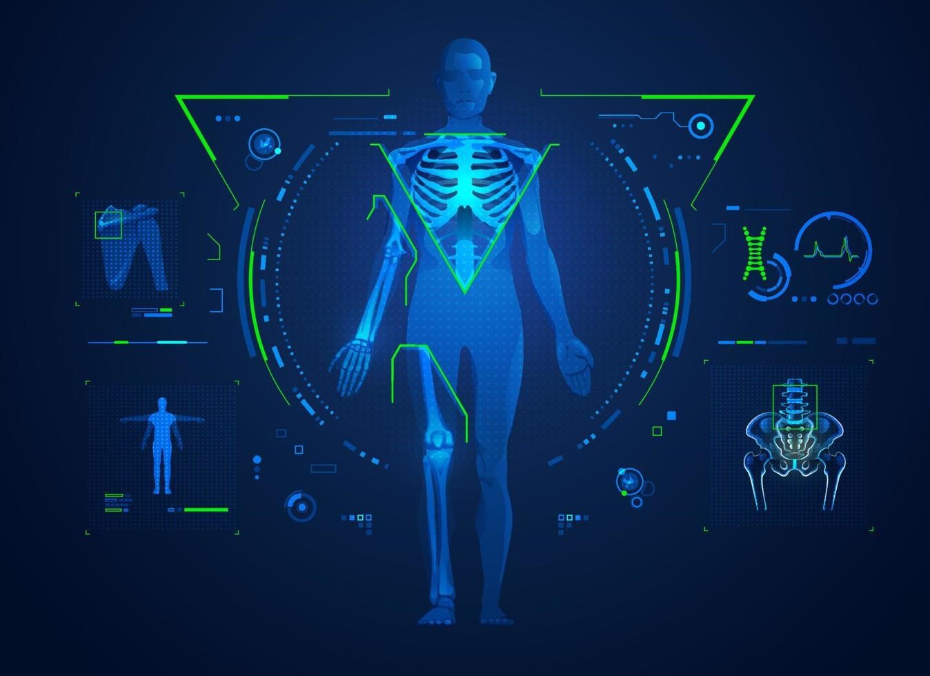 Whole Body Dissection